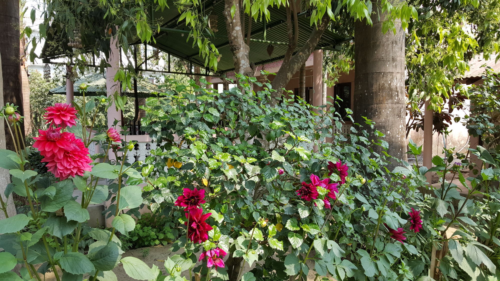 Отель Ama Garden Саураха Экстерьер фото