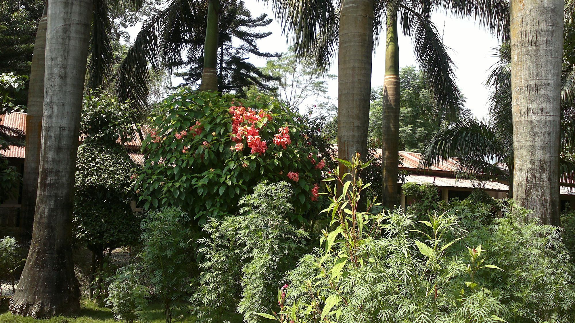Отель Ama Garden Саураха Экстерьер фото
